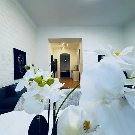 Appartement 2-bedroom Steps From Area *